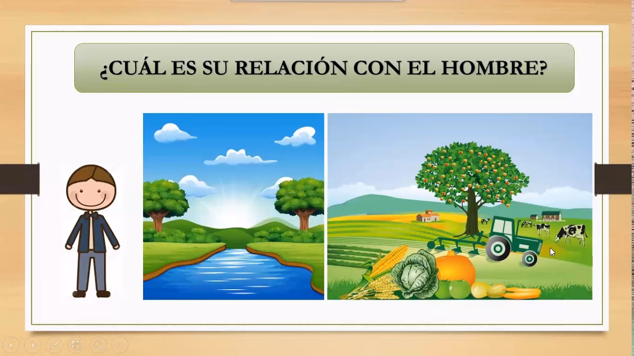 ¿Qué es el medio ambiente?