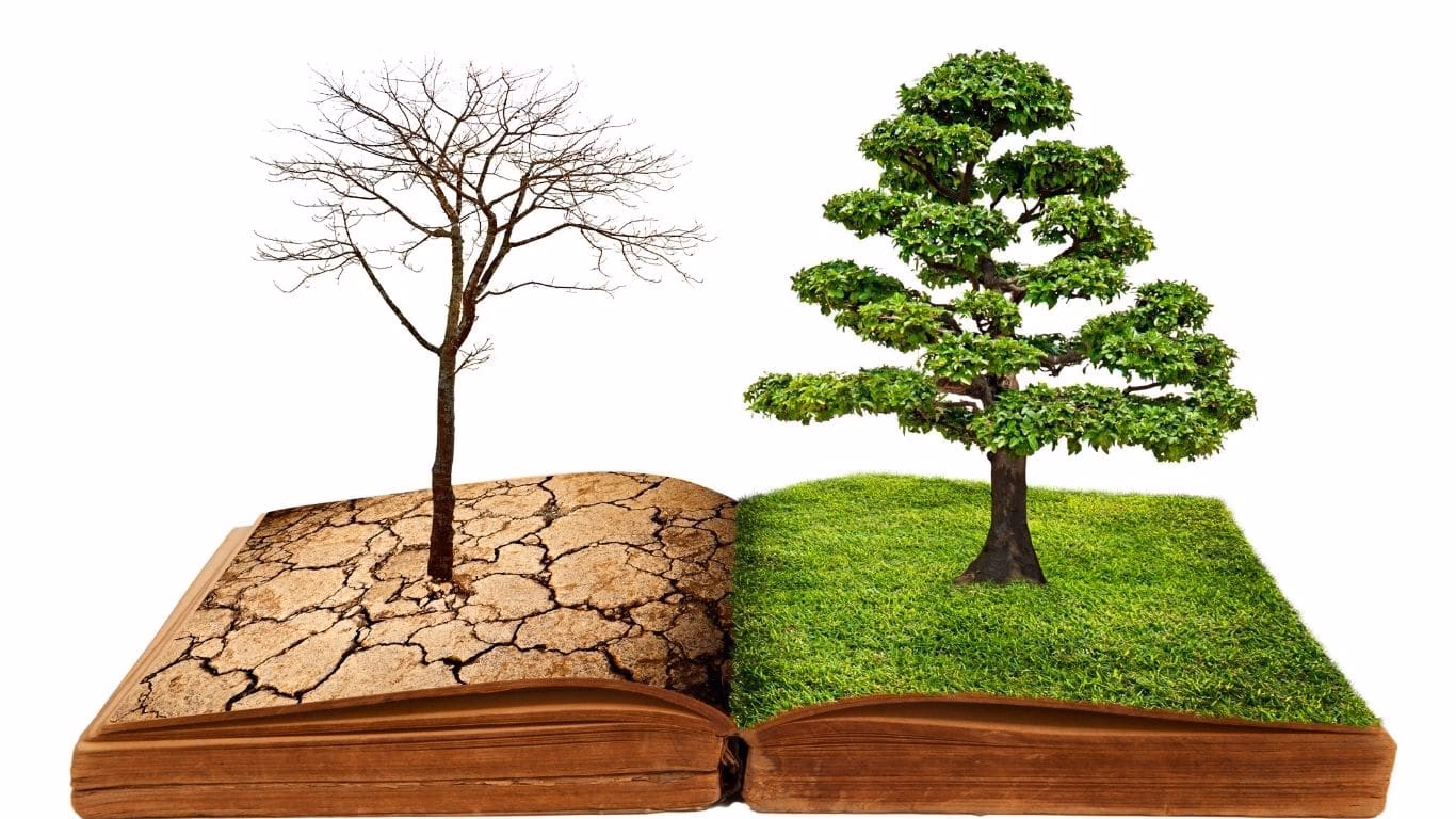 ¿Cuál es el impacto del Medio Ambiente?