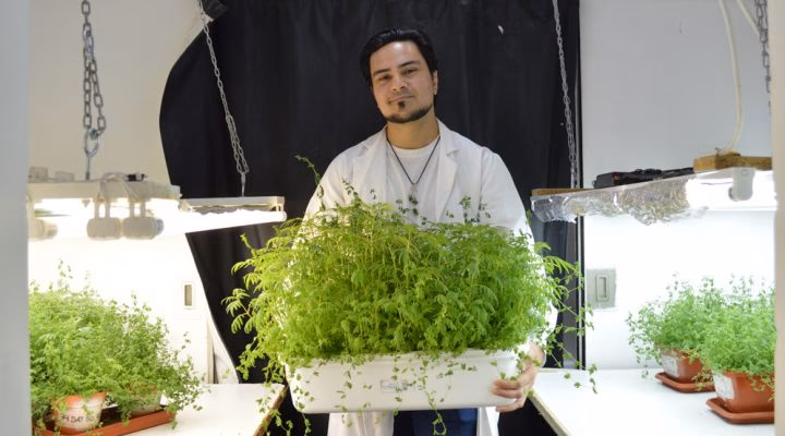 ¿Cómo se puede descontaminar zonas afectadas por derrames?