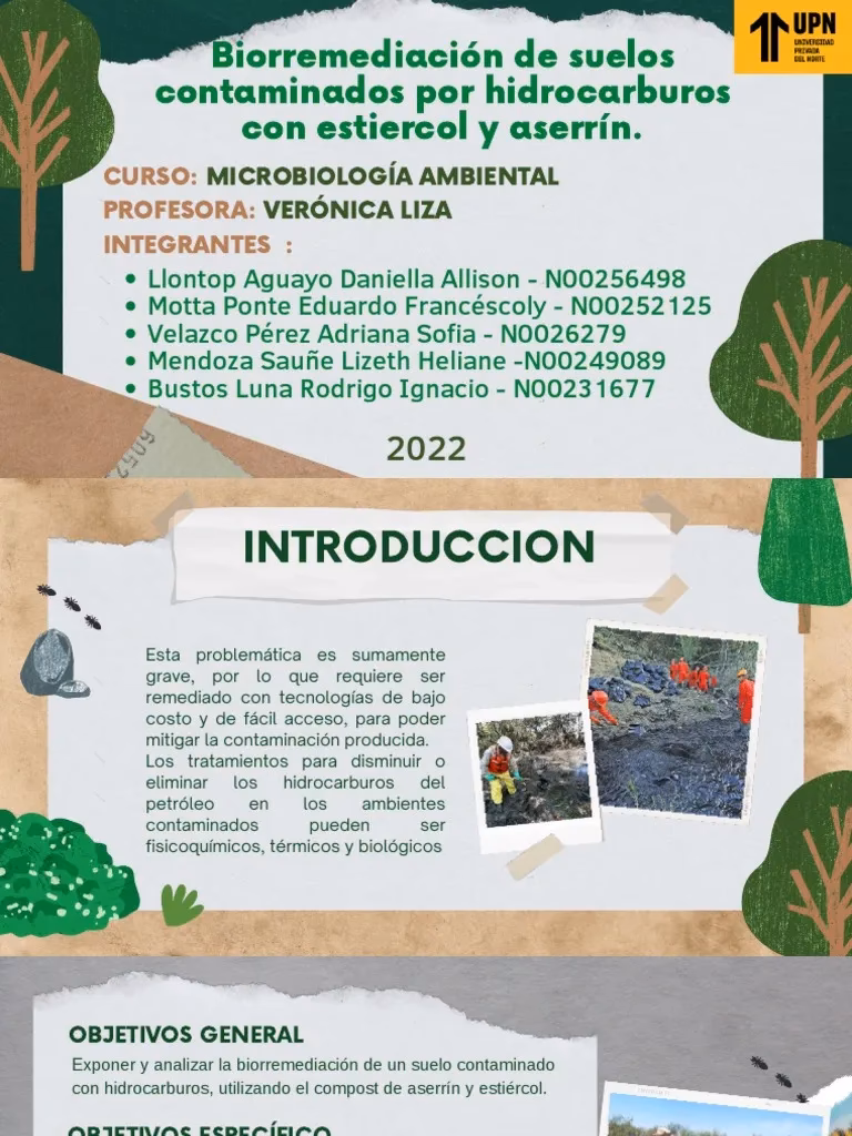 ¿Cómo se determina la concentración de hidrocarburos en suelo?