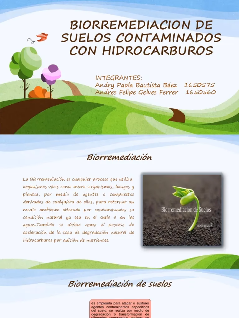 ¿Cuáles son las técnicas de remediación para la contaminación con hidrocarburos?