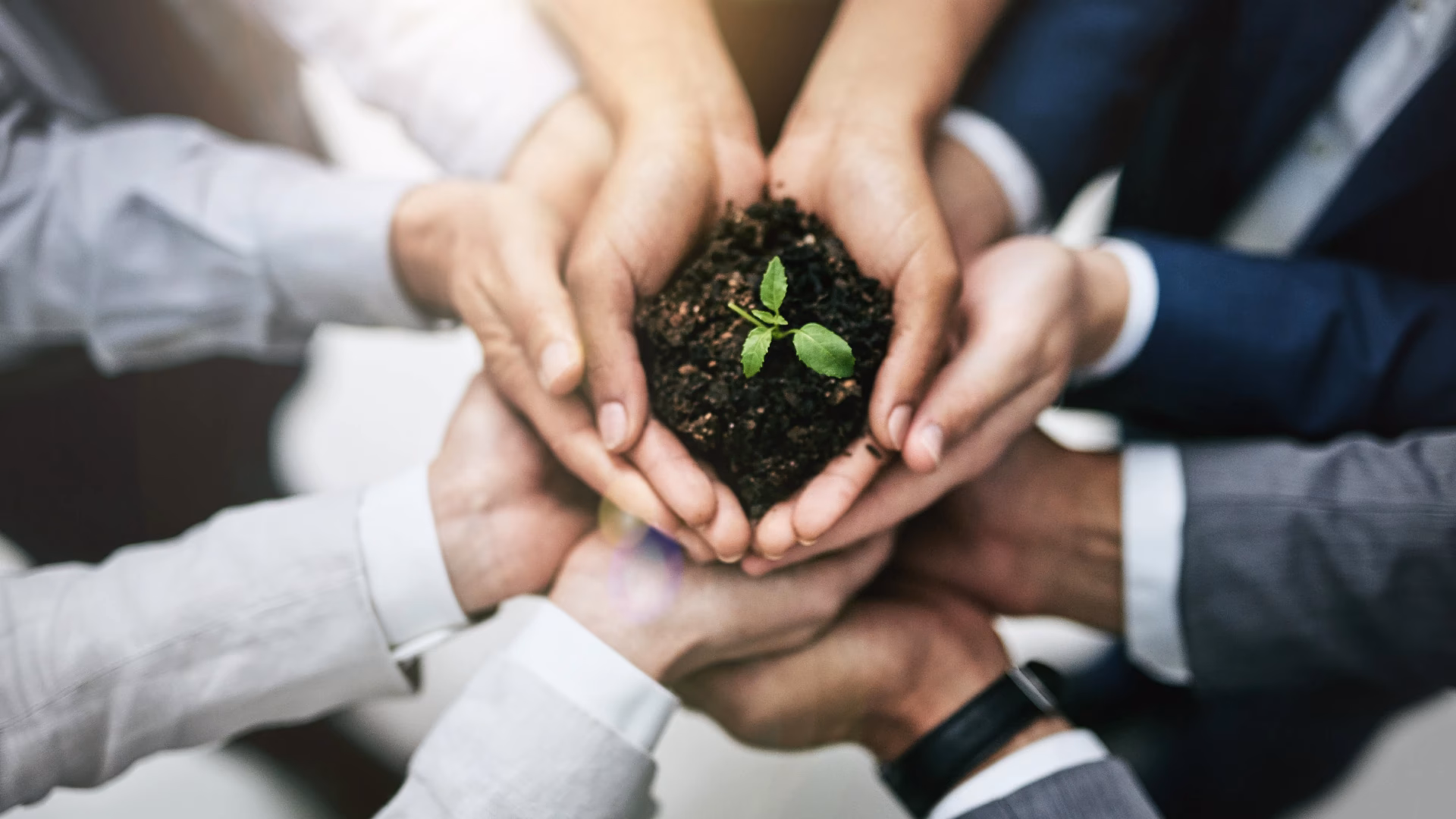 ¿Qué es el resumen de rendimiento de los negocios sostenibles?