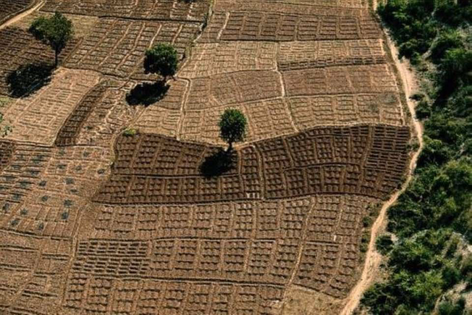 ¿Cuáles fueron las exportaciones de Haiti antes de la Revolución haitiana?