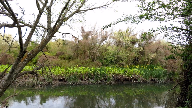 ¿Cómo se tramita el deber de reserva en caso de incumplimiento de normas ambientales?