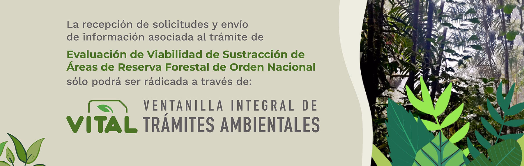 ¿Cuál es la misión de la reserva de Biosfera noreste?