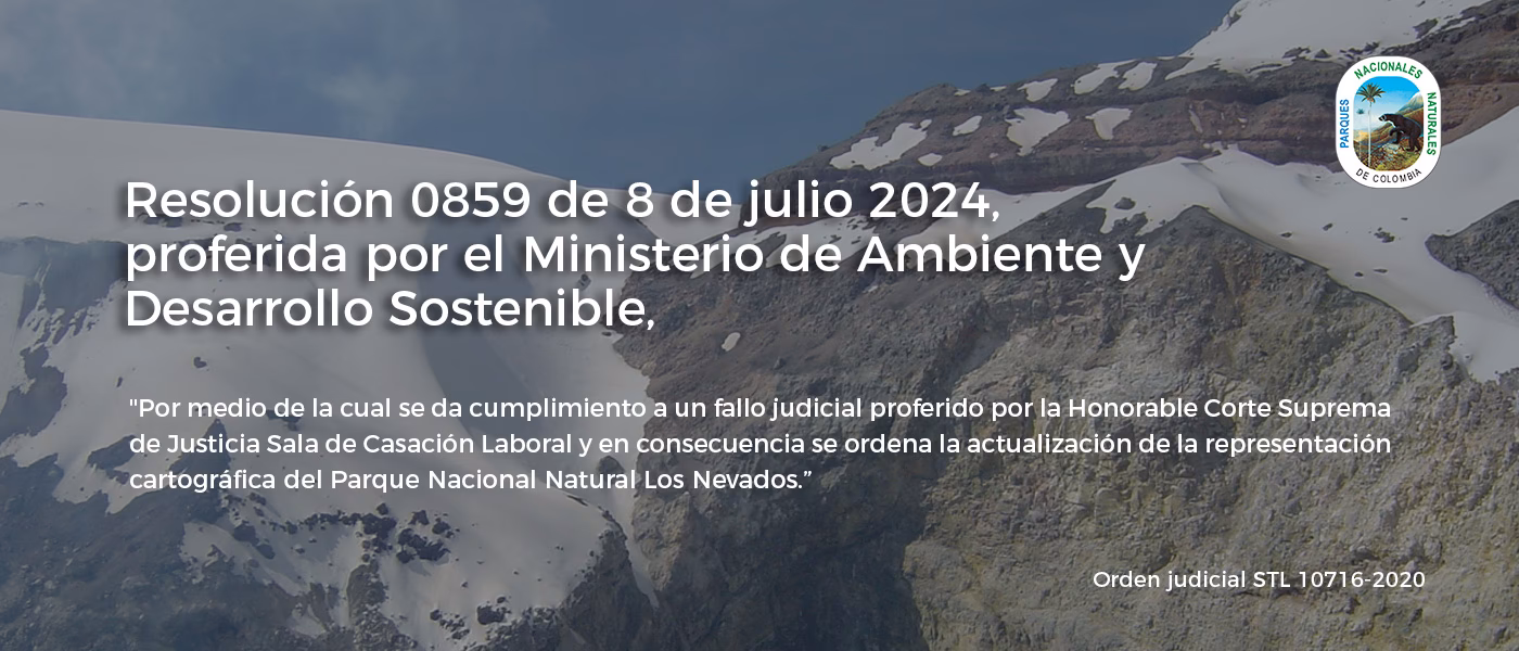 ¿Qué son las resoluciones del Ministerio del ambiente?