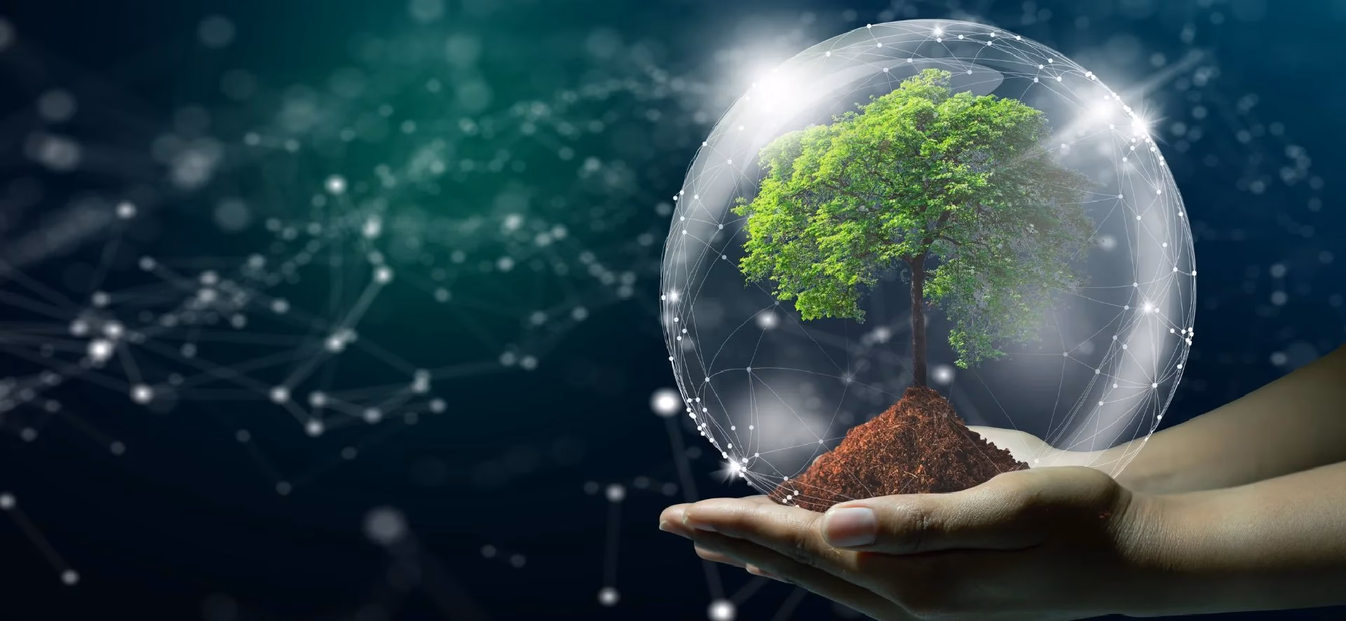 ¿Qué es el desarrollo sostenible social?