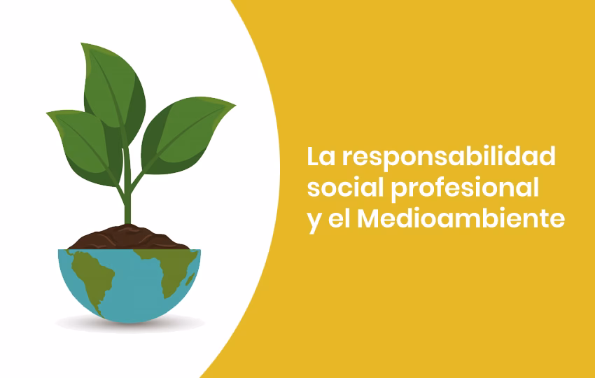 ¿Cómo promover la responsabilidad social?