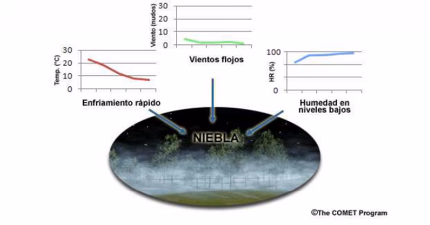 ¿Cuál es el mecanismo responsable de la neblina contaminante?