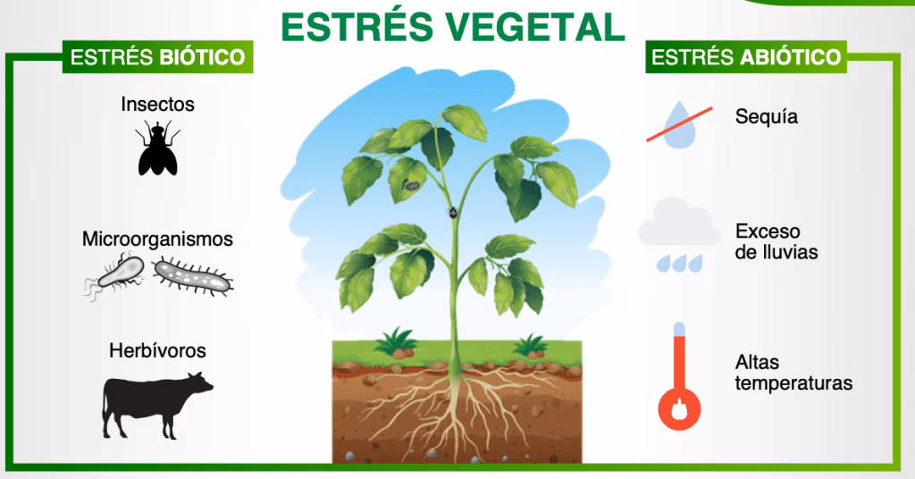 ¿Qué es el cambio climático?