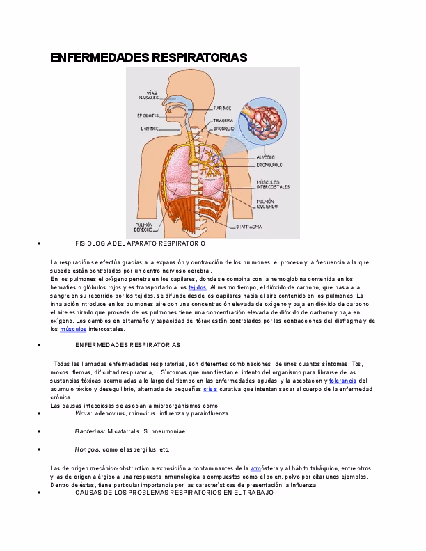 ¿Cuáles son los principales contaminantes relacionados con la actividad humana?