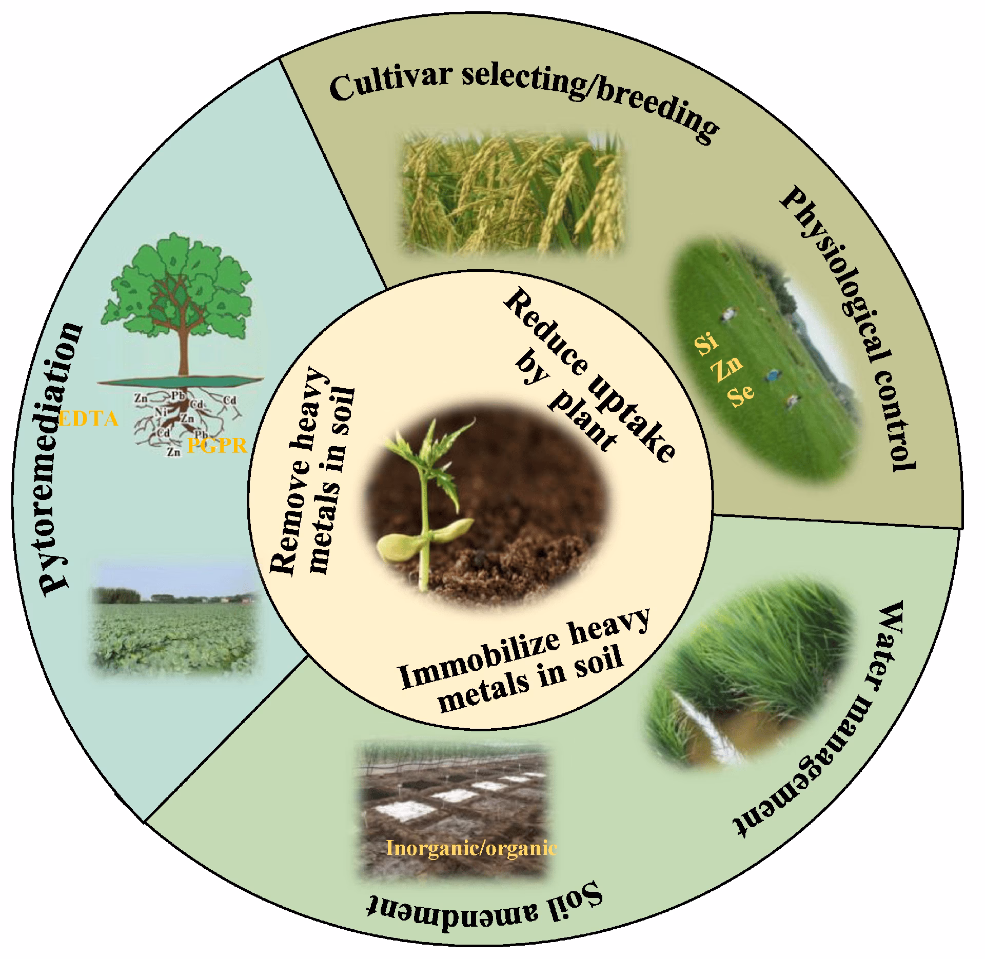 Does heavy metal toxicity affect soil microbes?