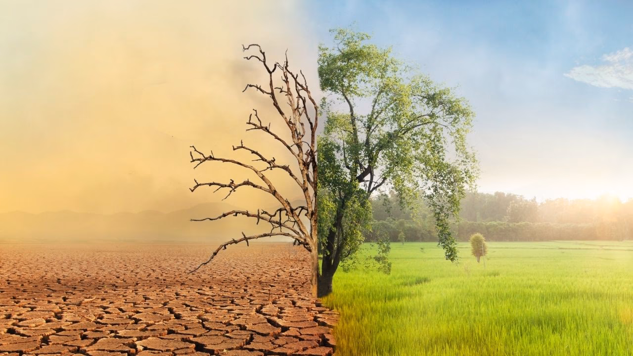 ¿Cuáles son las novedades en materia de cambio climático?