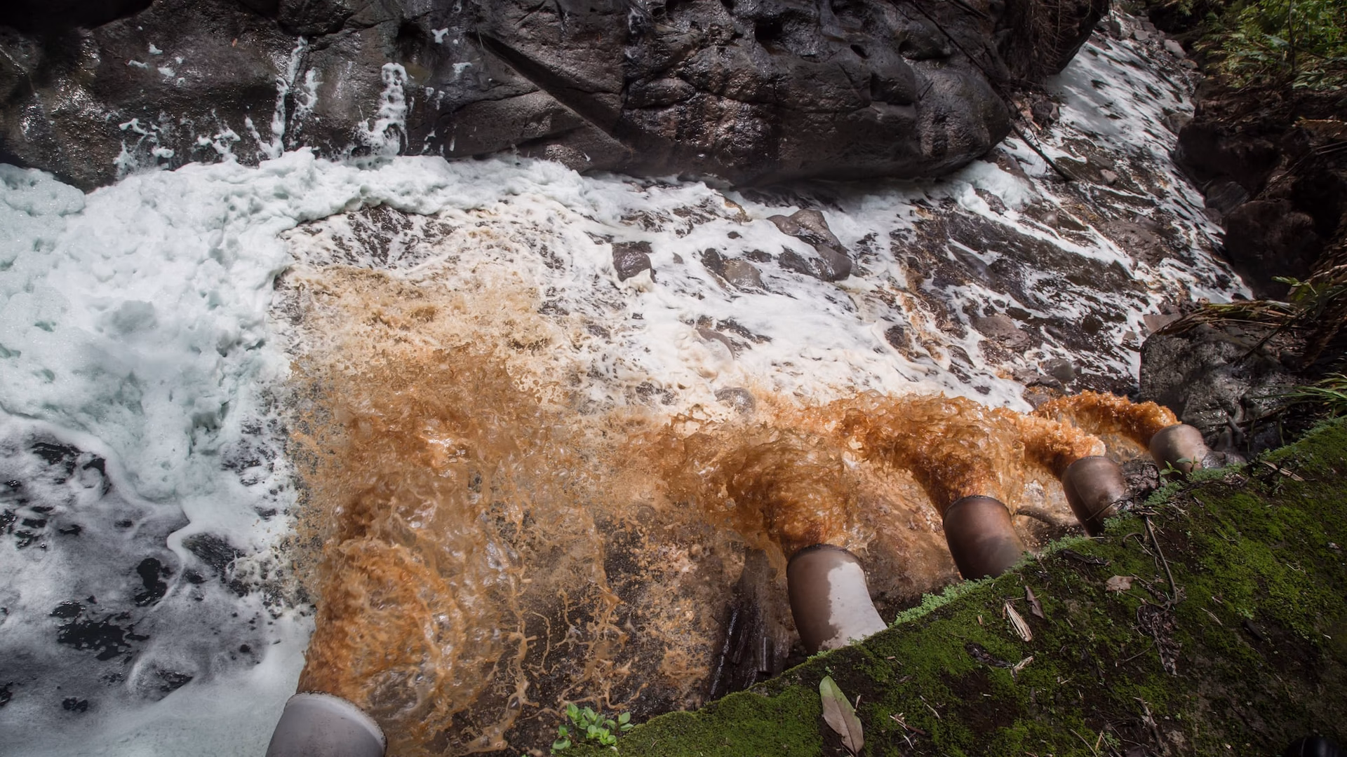 ¿Cuáles son los residuos más contaminados en la ría de Vigo?
