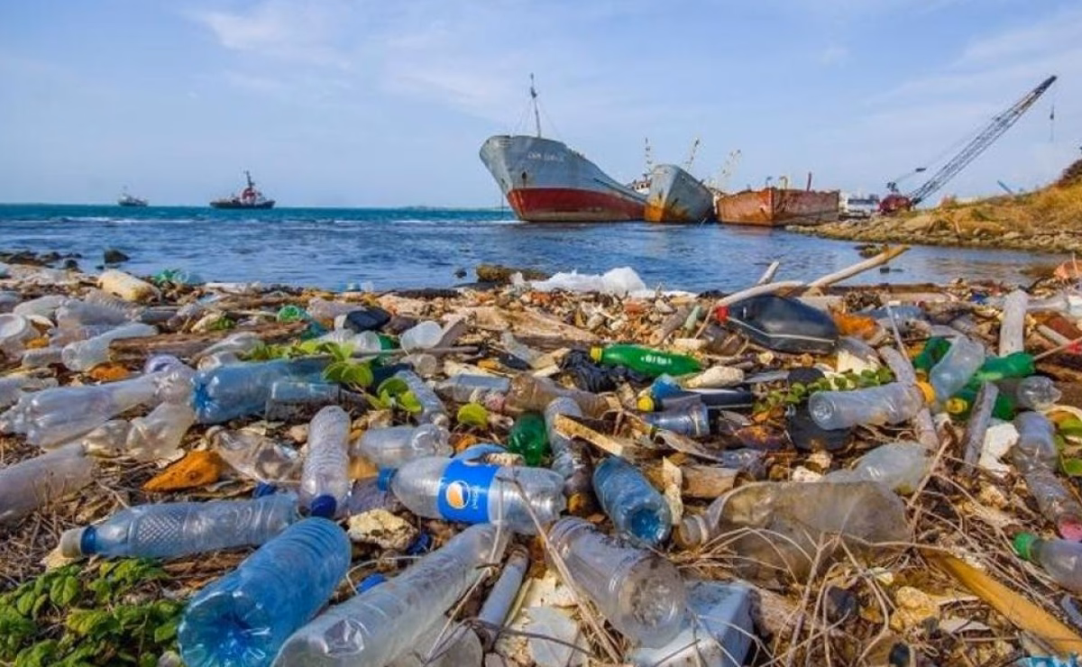 ¿Cómo afectan los residuos a la contaminación de las playas y del mar Argentino?