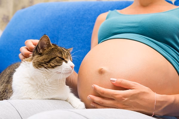 ¿Cómo tratar la toxoplasmosis en niños?