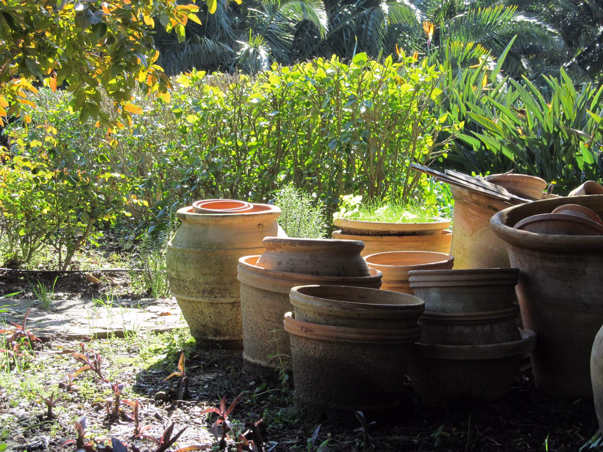 ¿Qué es un jardín reciclado?