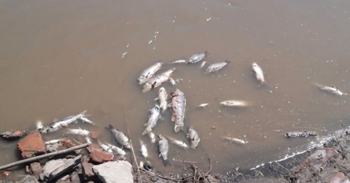 ¿Dónde desemboca el río Carcarañá?