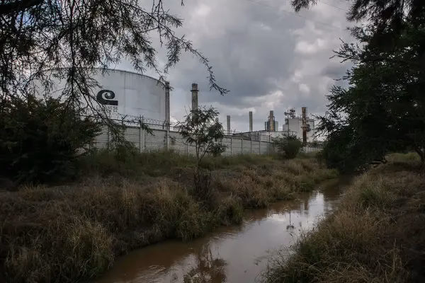 ¿Cuáles son las consecuencias de la contaminación del río?