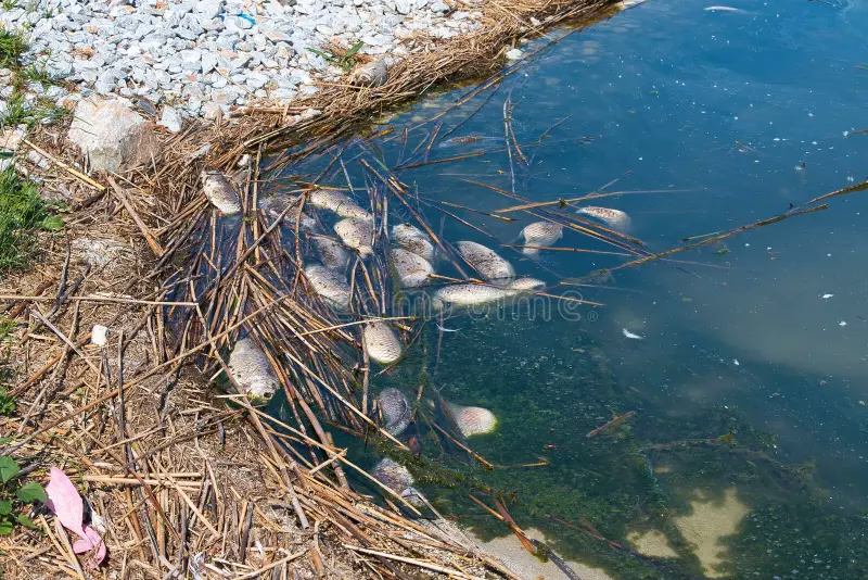 ¿Qué productos contaminan el río Volga?