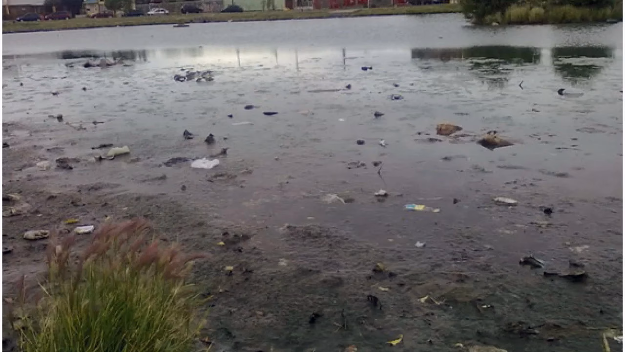 ¿Cuáles son las causas de la contaminación en el río?