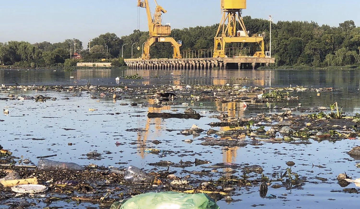¿Cómo afecta la contaminación del Río de la Plata a la flora y fauna autóctona?