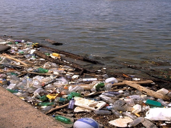 ¿Por qué se baña en la costanera de Vicente López?