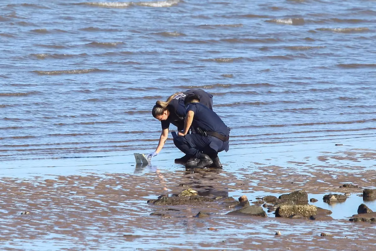 ¿Cuál fue el efecto inmediato de la contaminación del río Loa?
