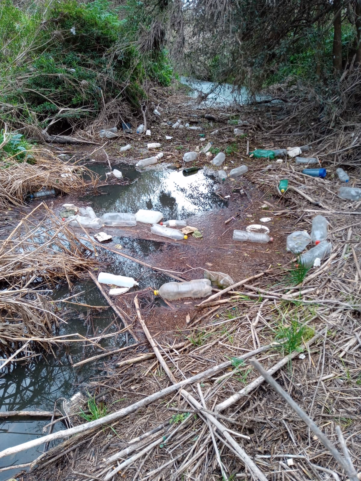 ¿Cuál es la contaminación del río Lerma?