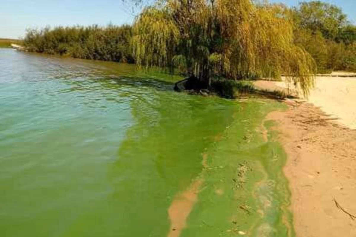 ¿Qué pasó con el río Uruguay?