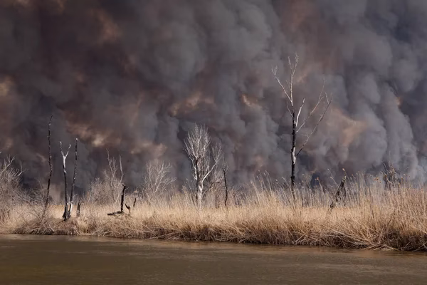 ¿Cuál es el tráfico fluvial del río Volga?