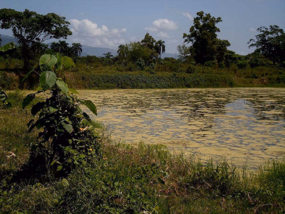 ¿Cuál es el afluente del río Yuna?