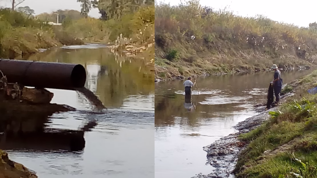 ¿Cómo se pueden recuperar los ríos?