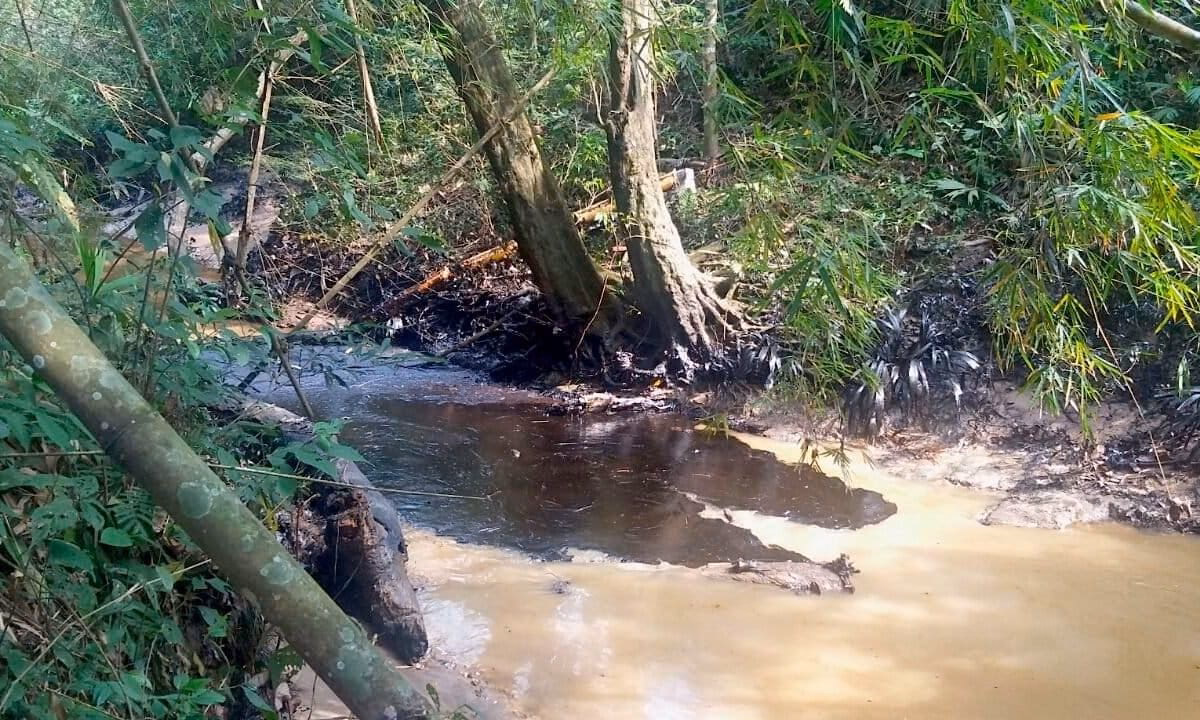 ¿Cuáles son los compuestos contaminantes en el agua de los ríos?