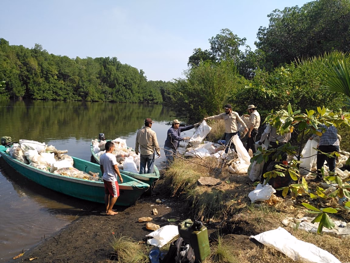 ¿Cómo pueden los niños recrear un ecosistema marino?