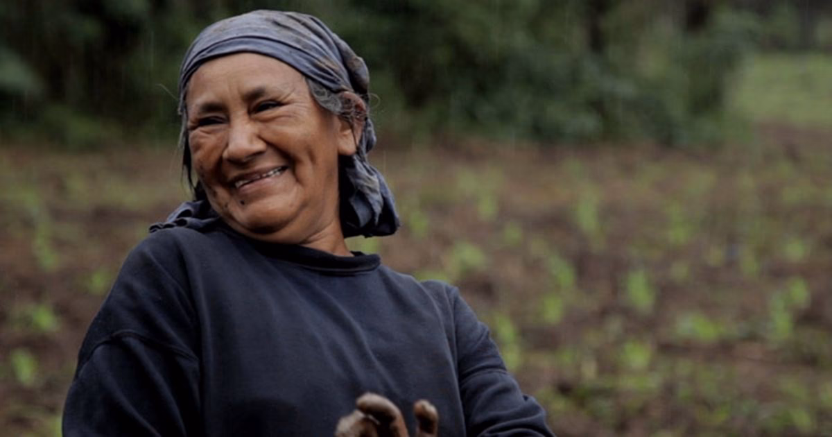 ¿Cuándo se creó el concepto de mujer y desarrollo?