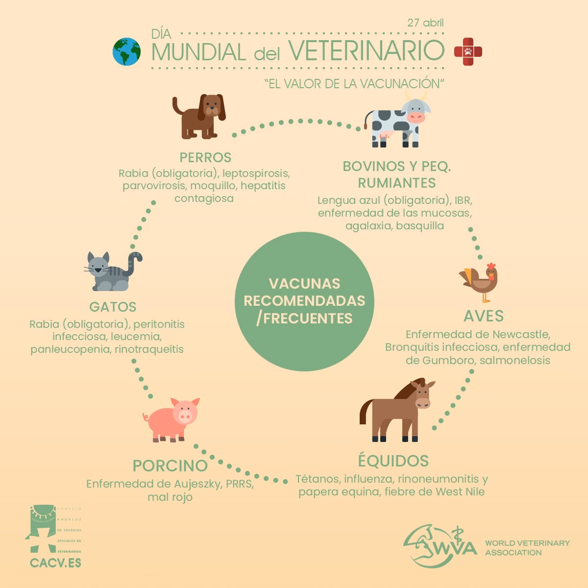 ¿Cuál es el rol de un médico veterinario?
