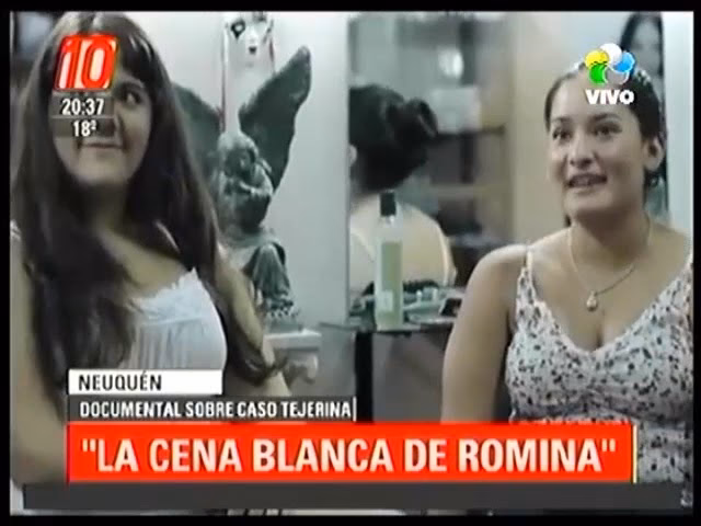 ¿Qué opina la abogada de Tejerina sobre el fallo de las fiestas de fin de año?