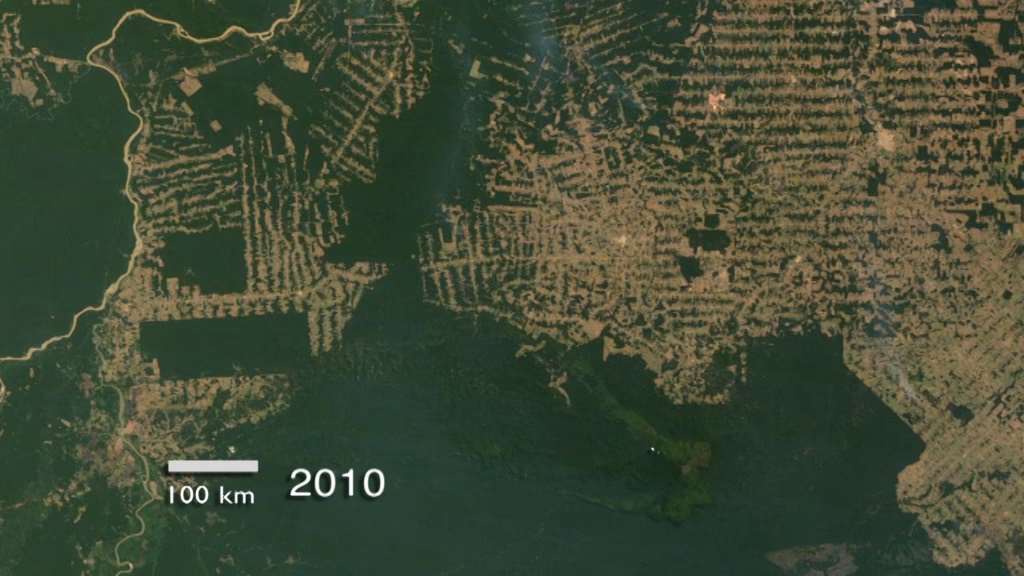 Is Rondônia part of the Amazonian arc of deforestation?