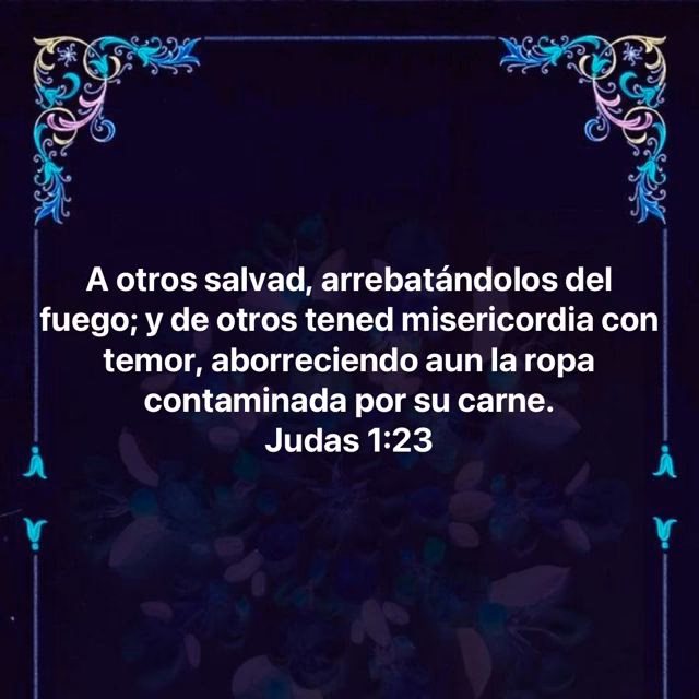 ¿Qué dice la Biblia sobre la ropa contaminada por la carne?