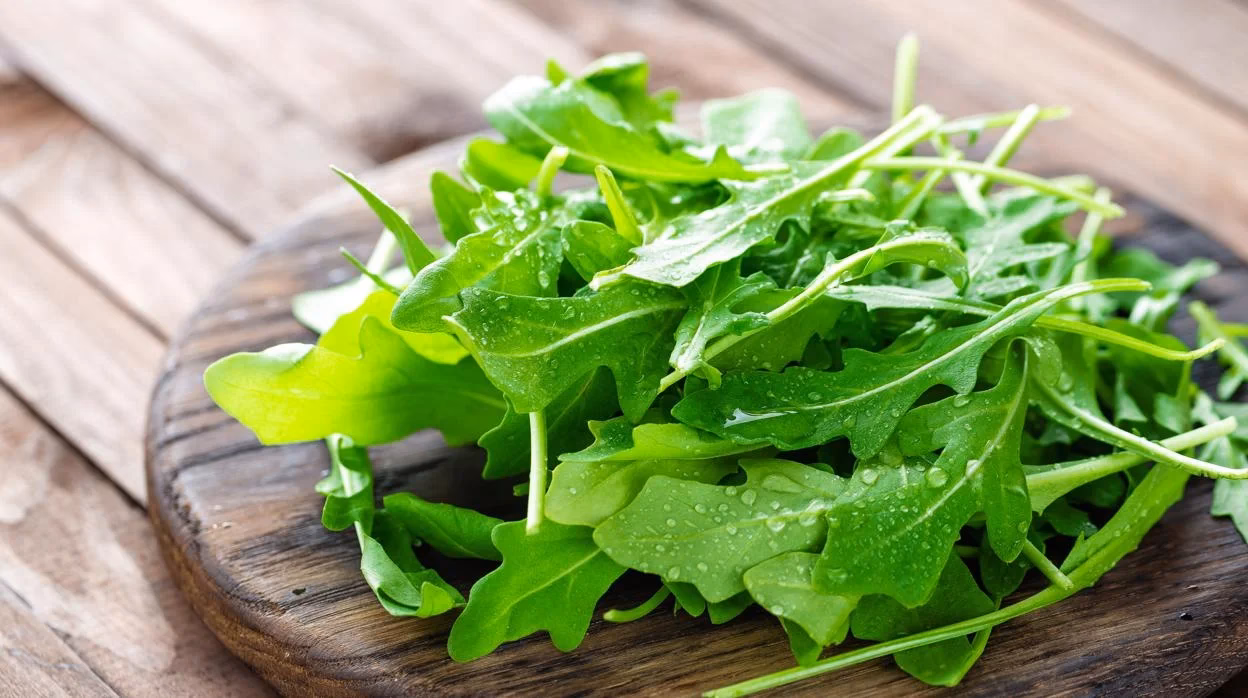 ¿Cuándo se cosecha la rúcula?