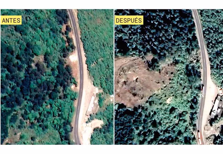 ¿Cuáles son los efectos de la deforestación en las carreteras?