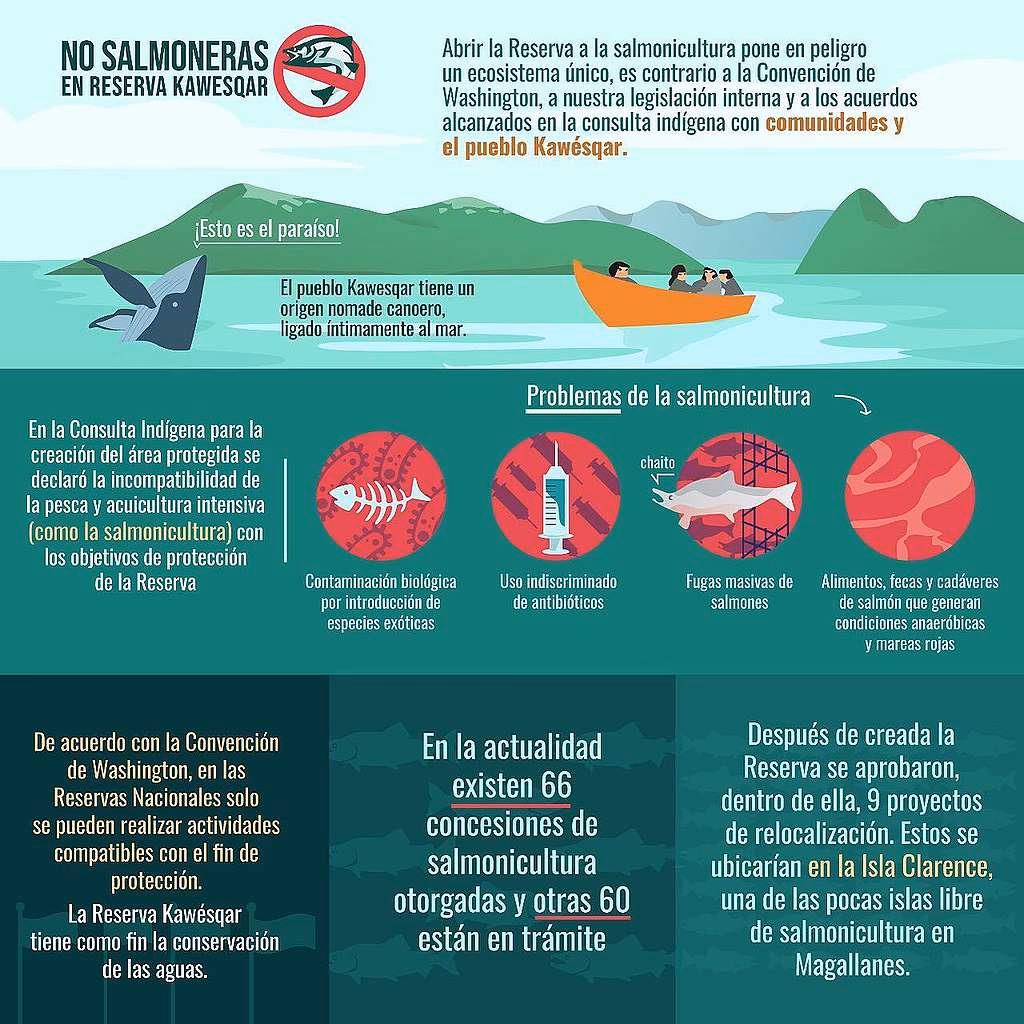 ¿Cómo afecta la industria de los salmones a la contaminación ambiental?