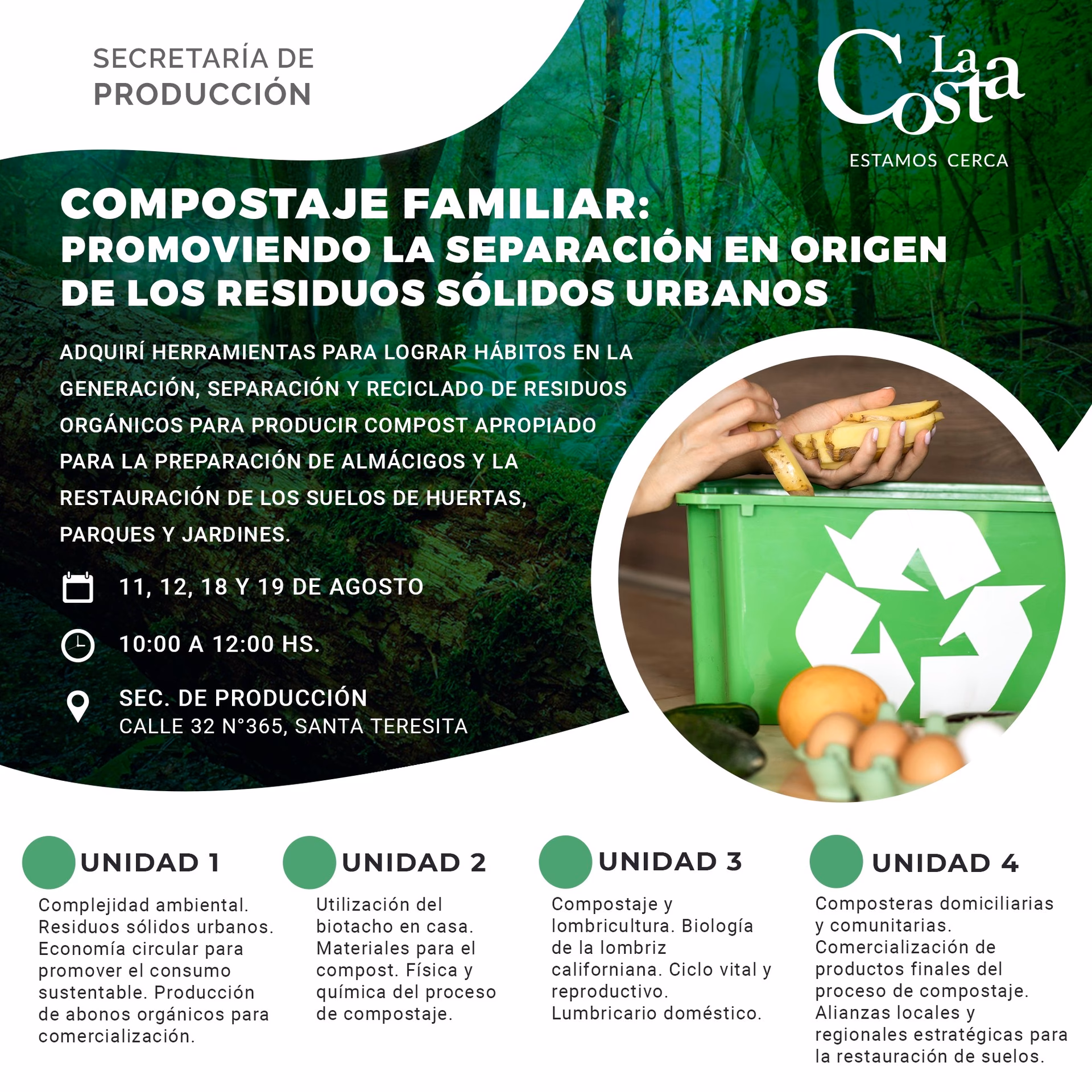 ¿Qué es la planta Santa Teresita?