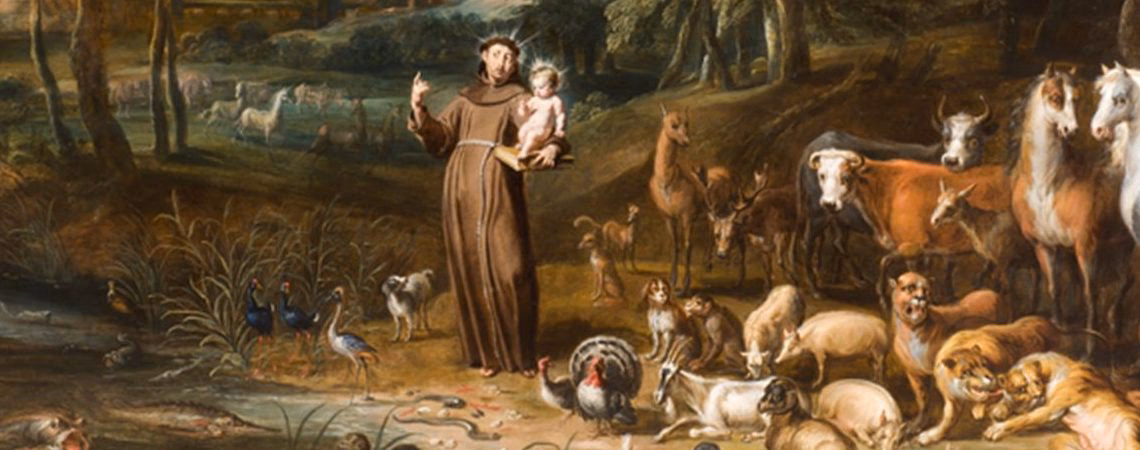 ¿Quién es el santo patrono de la ecología?