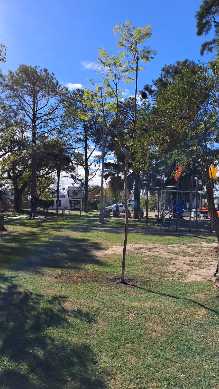 ¿Cómo contactar a la Municipalidad de Sauce Viejo?