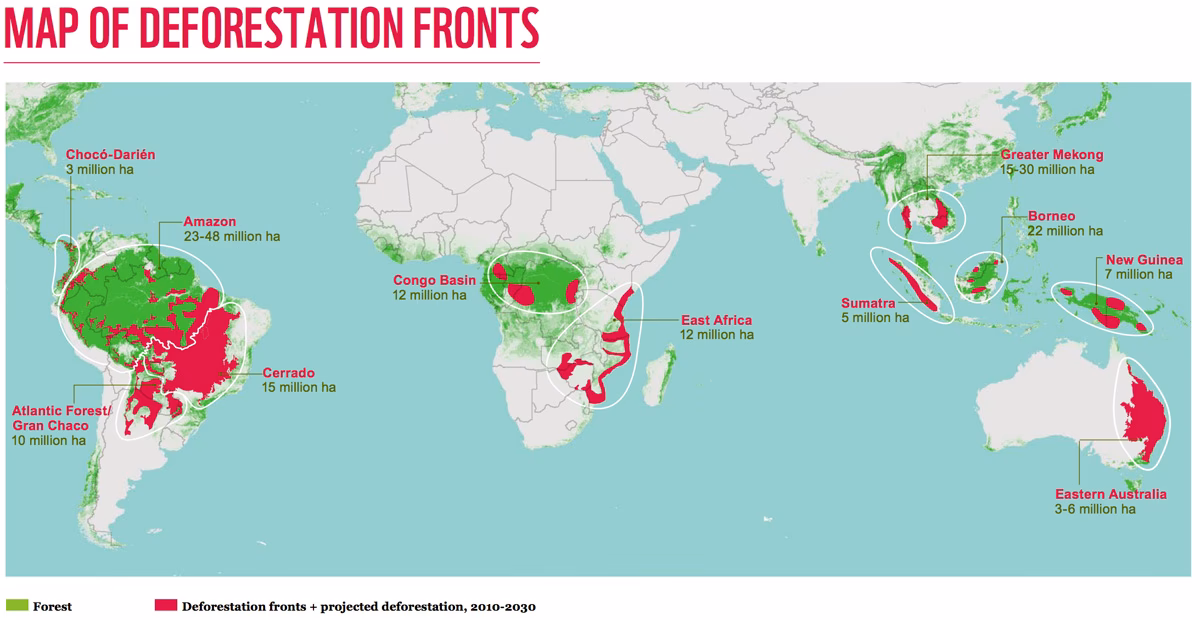 What is a deforestation front?