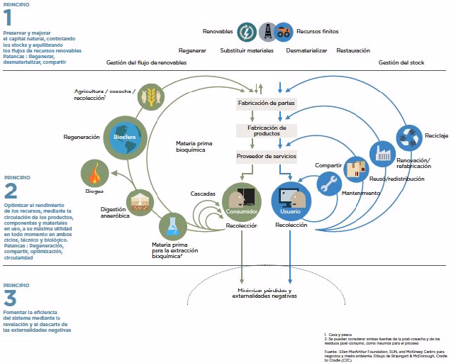 ¿Cuáles son los cambios hacia una economía circular?
