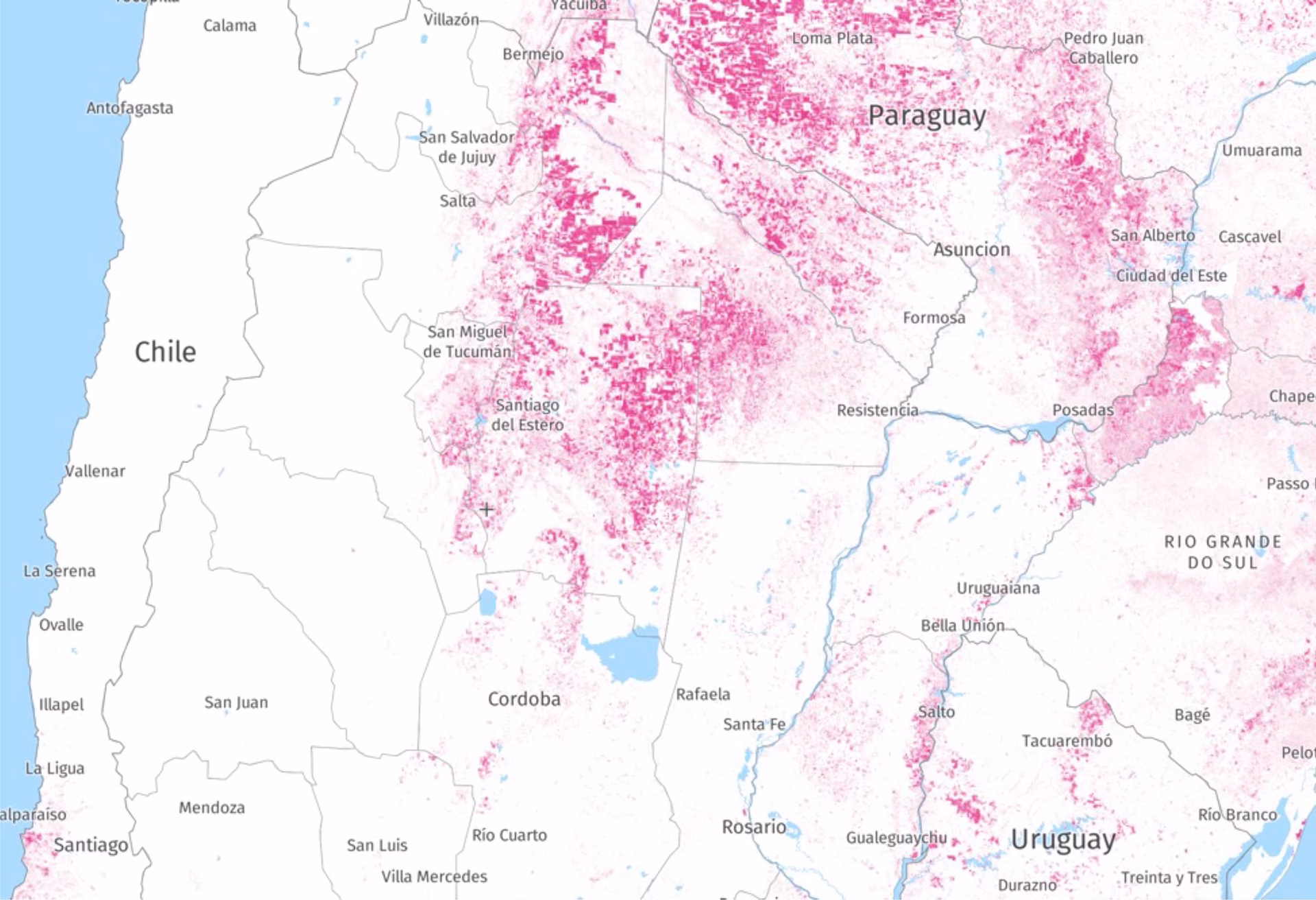 ¿Cuál es la importancia del sector forestal enArgentina?