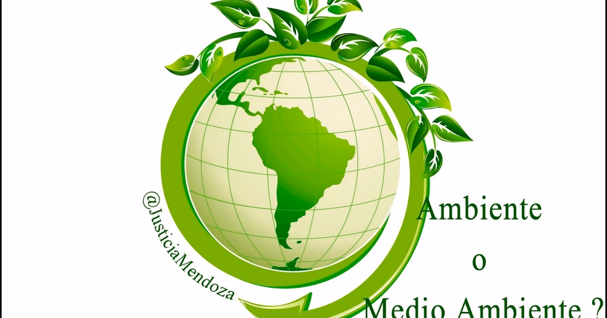 ¿Cuál es el adjetivo de medio ambiente?